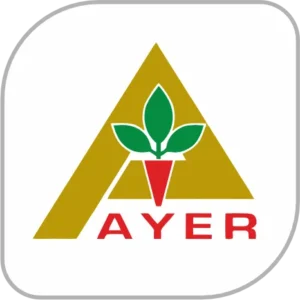 ayer-300x300