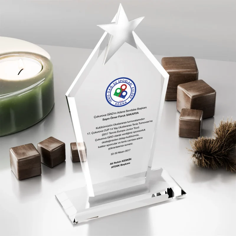 Ödül Töreni Plaketleri