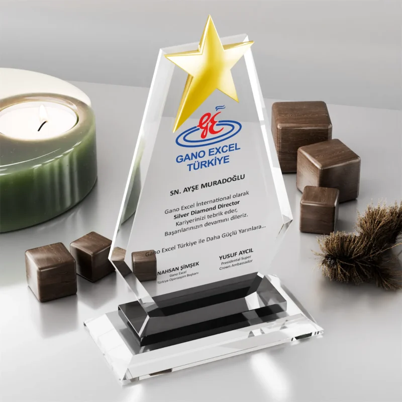 Yıldızlı Kristal Ödül