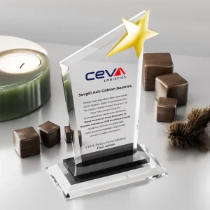 Yıldızlı Seminer Plaketleri