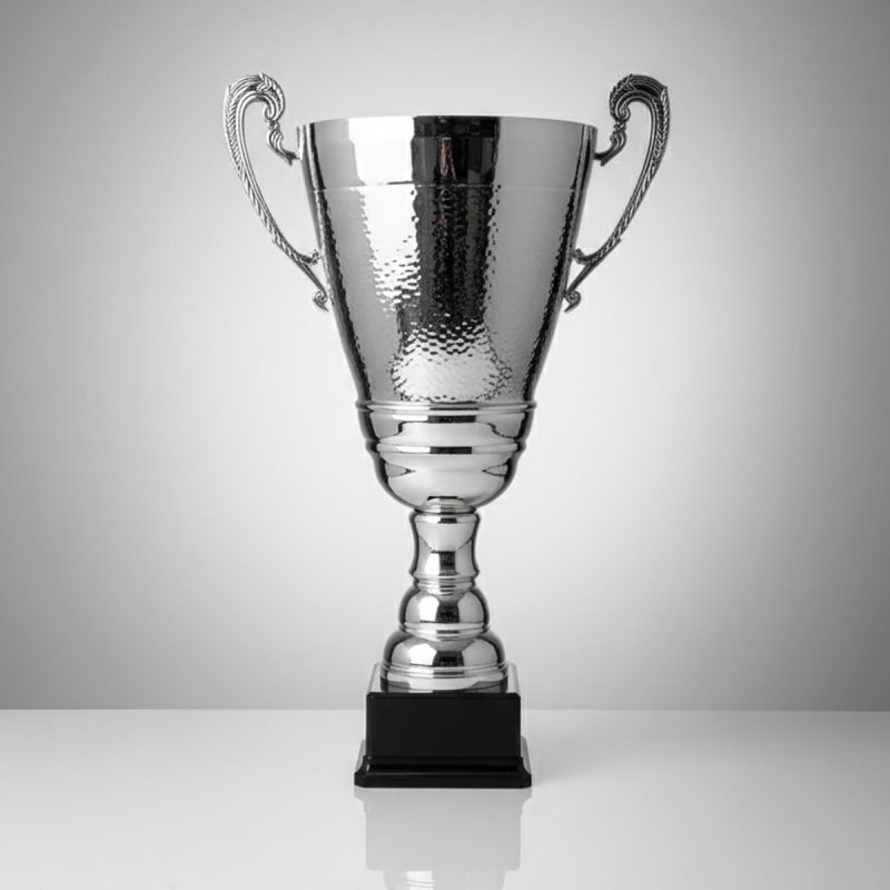 Özel Tasarım Gümüş Ödül Kupası