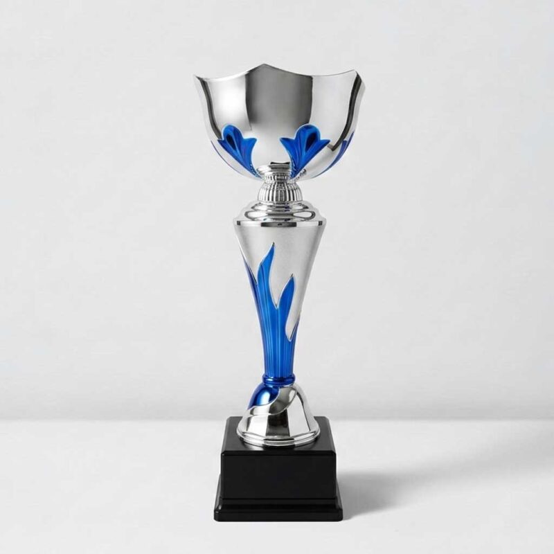 Gümüş Ödül Kupası