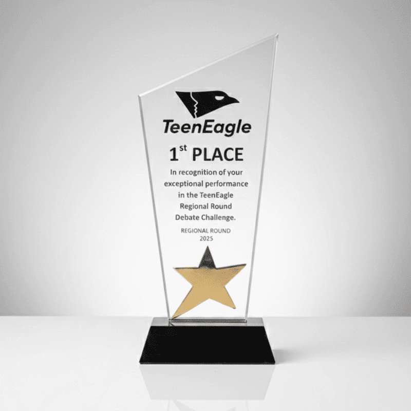 Vip Plaket Çeşitleri